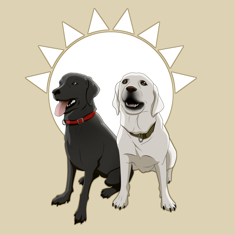 Dogs Pet Portrait Labradors