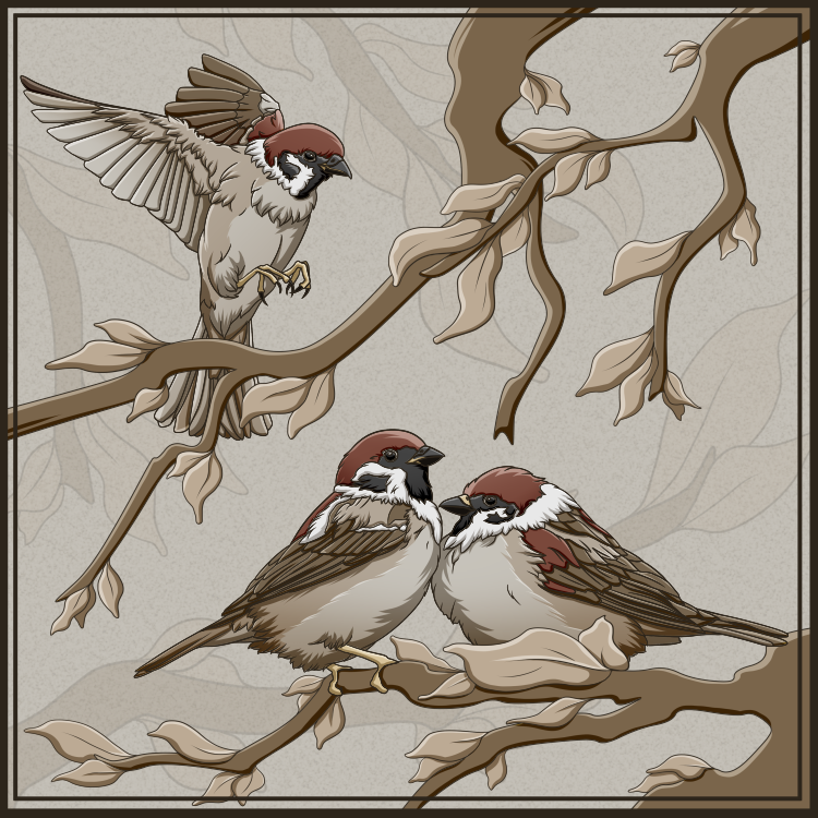 Sparrows